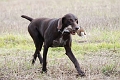 fuldb-skovby-2008-mark-003-