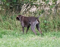fuldb-skovby-2008-mark-004-
