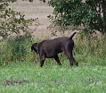 fuldb-skovby-2008-mark-005-
