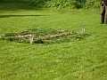 DSC01995