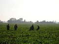 DSC02044