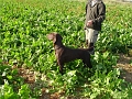 DSC02048