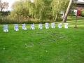 DSC02049