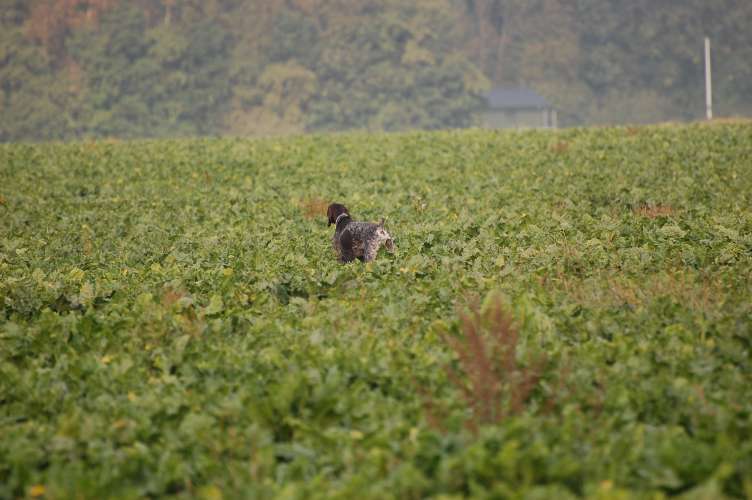 DSC_0004.JPG