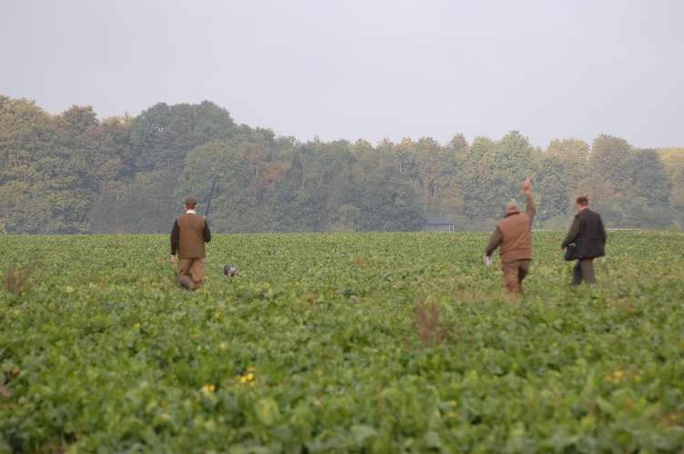 DSC_0006.JPG