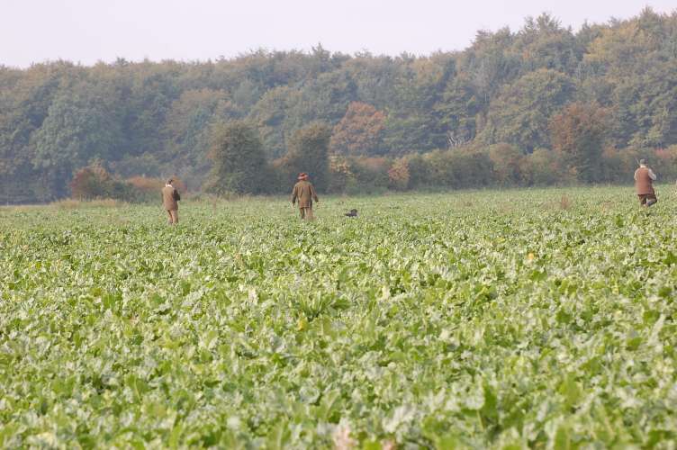 DSC_0030.JPG