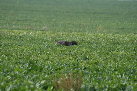 IMG_2767.JPG