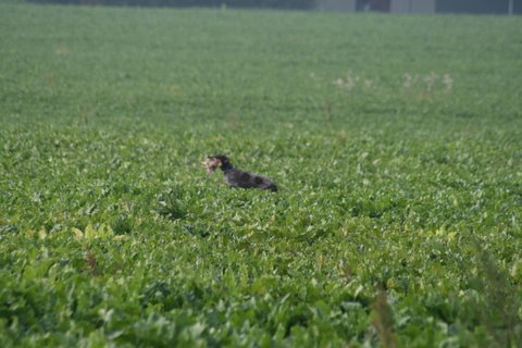 IMG_2769.JPG