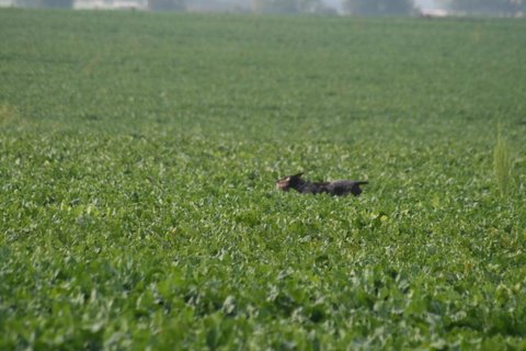 IMG_2770.JPG