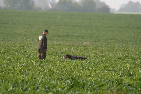 IMG_2772.JPG