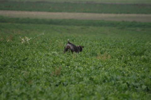 IMG_2790.JPG