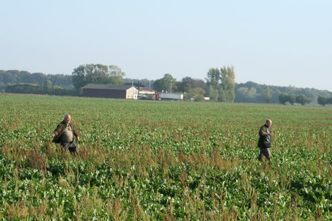 IMG_2802.JPG