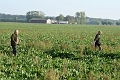 IMG_2799