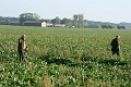 IMG_2800