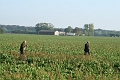 IMG_2801