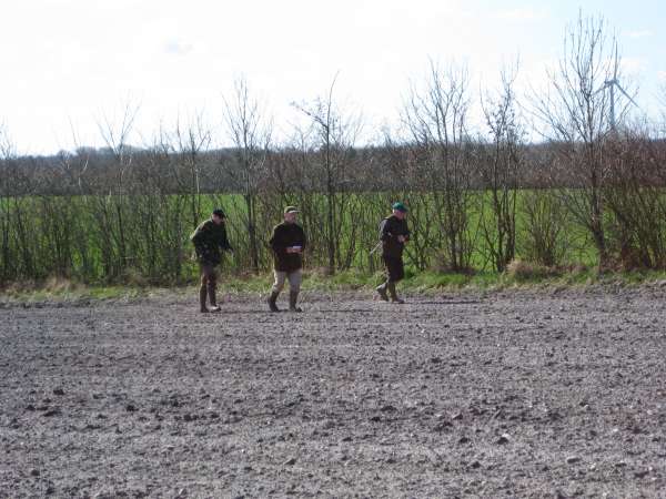 IMG_0810.jpg