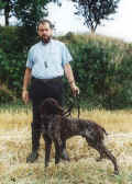 Aarbogsredaktor-Werner1-size.jpg (27839 byte)