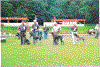 Aabenklasse_hanner.gif (63101 byte)