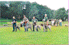 Brugshundeklasse_hanner.gif (55058 byte)