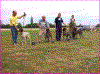 Brugshundeklassehanner.gif (56858 byte)