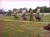 UnghundeklasseTaever.gif (56701 byte)
